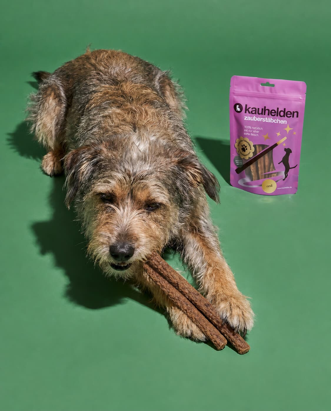 zauberstäbchen: ein hund springt voller freude, daneben der kauhelden-beutel