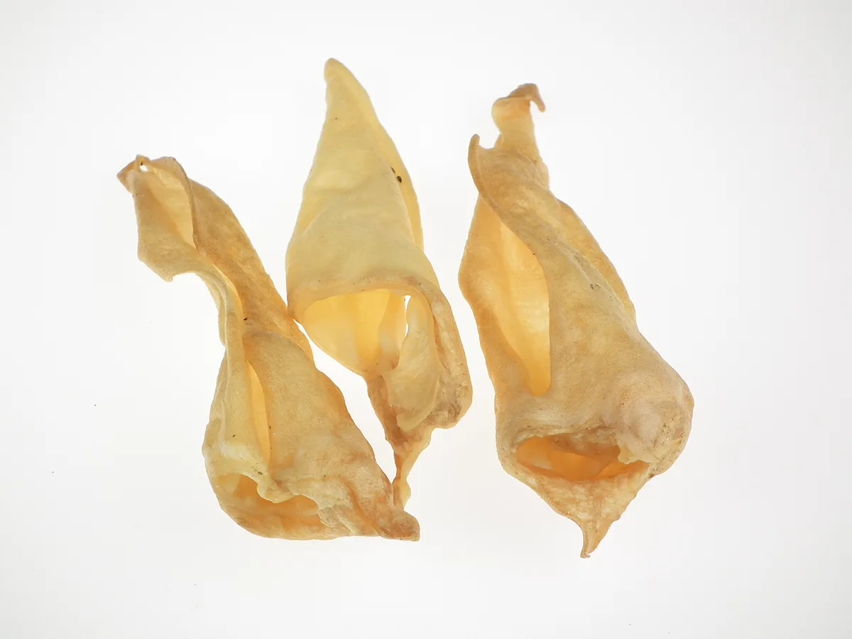 Lamm-Ohren